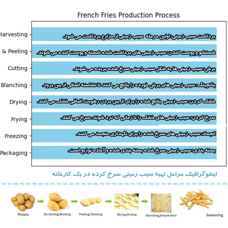 مراحل تولید سیب زمینی نیمه آماده در کارخانه فرنچ فرایز
